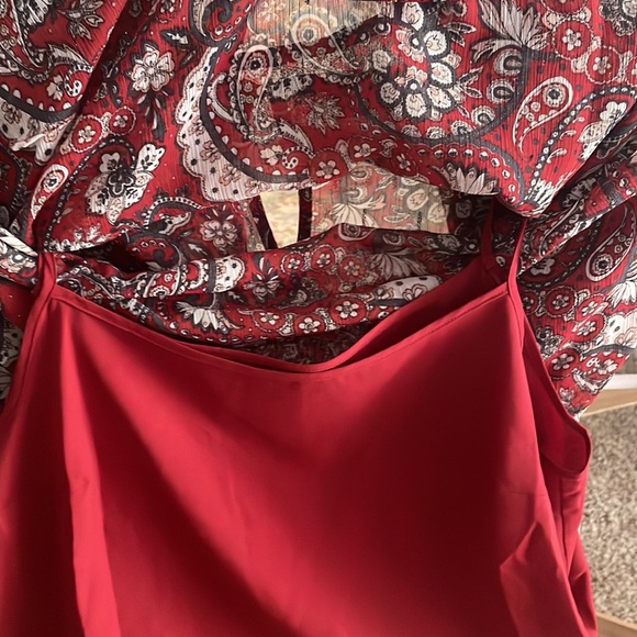 Beautiful Holiday dress! Never worn! - Picture 2 of 4